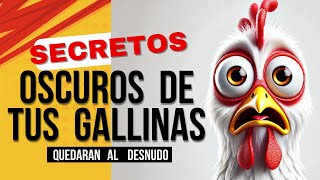 Secretos de las Gallinas Ponedoras Que Te SORPRENDERÁN [upl. by Chansoo]