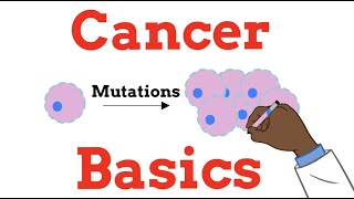 Introduction to Oncology Cancer Basics FOR BEGINNERS [upl. by Valina600]