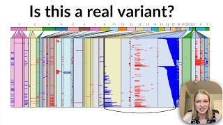 How to investigate structural variants A bioinformatics tutorial [upl. by Ianaj]