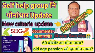 self help group loan criteria and analysedetails about shg scheme mybodotech [upl. by Winthrop833]