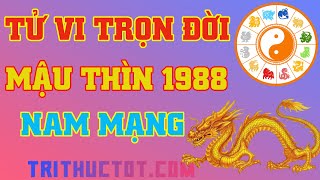 🔴 Tử Vi Trọn Đời Mậu Thìn 1988 Nam Mạng [upl. by Behm814]