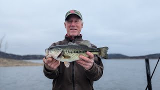 Table Rock Lake Video Fishing Report March 5 2024 short [upl. by Ydrah704]