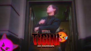 TIGINI100 Subscribers  SPECIAL🔥😈 [upl. by Cornie]