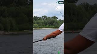 A LUDZIE MÓWIĄ ŻE LESZCZE NIE WALCZĄ  PIĘKNE BRANIE NA AQUA BLACK FEEDER fishing [upl. by Fiertz]