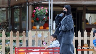 Kylie Jenner takes Stormi to pumpkin patch in Los Angeles [upl. by Gwen668]