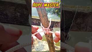 How to build a fence with rope very easily [upl. by Ynafetse977]