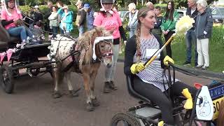 Eper Paardenvierdaagse 2024 intocht [upl. by Rebeh499]