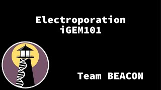 iGEM101 Lab How to do electroporation shorts biology igem [upl. by Zaneski]