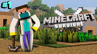 Mcaddon Survival Series 3rd Time New Beginning  Minecraft Hindi [upl. by Acitel153]