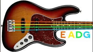 4 String Bass Guitar Tuner [upl. by Ingles76]