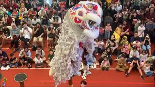 🦁 2️⃣0️⃣2️⃣4️⃣19 February Barongsai Lion Dance Living World Alam Sutera Tangerang Indonesia [upl. by Gerard]