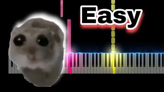 Sad Hamster Violin Meme Easy Piano Tutorial [upl. by Ezechiel685]