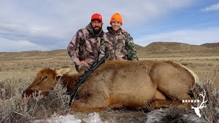 65 Creedmoor vs Cow Elk  DIY Late Season Cow Elk success [upl. by Lantha378]