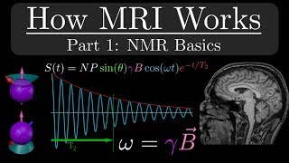 How MRI Works  Part 1  NMR Basics [upl. by Enyamert361]