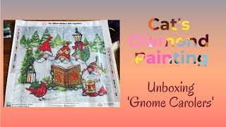 Unboxing Gnome Carolers  Diamond Painting from Diamond Art Club  Christmas is Coming [upl. by Burris]