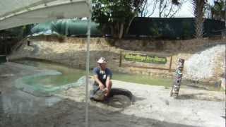 Paul Bedard from the Gator Boys Animal Rescue doing a show at Everglades Holiday Park [upl. by Bastien64]