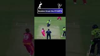 Bowlers Break the STUMPS 💥 cricket cricketfans cricketlover [upl. by Tunnell443]