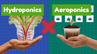 Hydroponics vs Aeroponics The Future of Farming [upl. by Elvina]