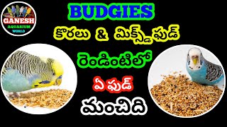 budgies కొరలు amp మిక్స్డ్ ఫుడ్ రెండి‌ంటిలో ఏ ఫుడ్ మంచిది Ganeshworldkakinada [upl. by Ahsienod]