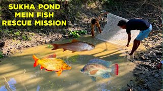 Fish Rescue Mission in a Village Pond❤️💙😢🙏 [upl. by Lyret]