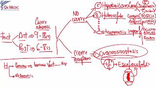 5 MALFORMACIONES DE CRANEO [upl. by Anitsugua]