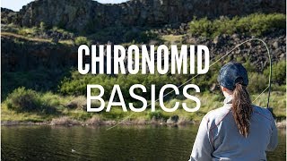 Chironomid Fly Fishing Basics [upl. by Nilam]