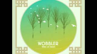 Wobbler  The River [upl. by Atinuj]