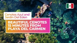 Two amazing cenotes near Playa del Carmen Mexico [upl. by Tada]