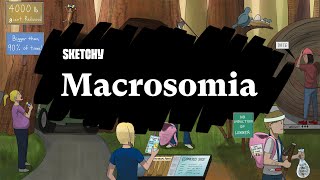 Macrosomia Overview Part 1  Sketchy Medical [upl. by Nowaj]