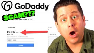 Domain Scam On Godaddy Auctions  This Is Crazy [upl. by Boonie210]