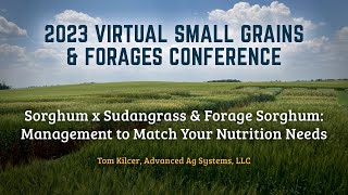 Sorghum x Sudangrass amp Forage Sorghum Management to Match Your Nutrition Needs [upl. by Ruperto]