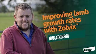 How one farmer improves lamb growth rates with Zolvix [upl. by Saundra]