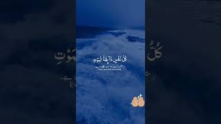 Quran recitationgoosebumps quranrecitation goosebumps muslim recitation [upl. by Inaluahek]