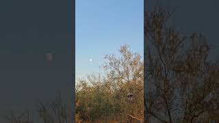 Plane spotting moon sighting [upl. by Silverts100]