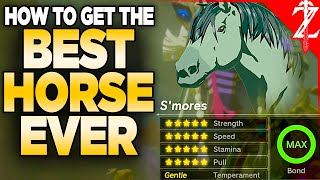 How to Get a 20⭐️ BEST Horse in Tears of the Kingdom All Malanya Recipes [upl. by Emina]