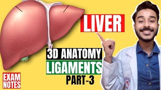 liver ligaments anatomy 3d  ligaments of liver anatomy in hindi  Johari MBBS [upl. by Sukcirdor586]