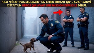 KILO N’ÉTAIT PAS SEULEMENT UN CHIEN ERRANT QU’IL AVAIT SAUVÉ C’ÉTAIT UN HÉROS QUI AVAIT UNE MISSIO [upl. by Orsini]