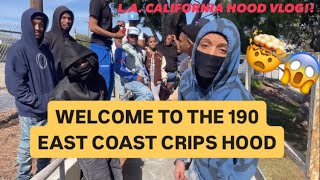 190 EAST COAST ♿️ HOOD VLOG IN CARSON CA [upl. by Granny]