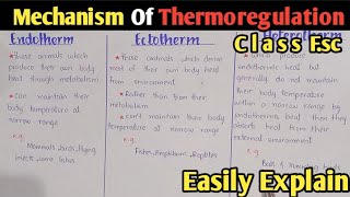 Mechanism Of Thermoregulation  Ectotherm  Endotherm  Heterotherm  Poikilotherm  Homeotherm [upl. by Shem752]