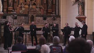 Ensemble Quadrivium Bartolomeo Tromboncino  Por chio vado [upl. by Johst]