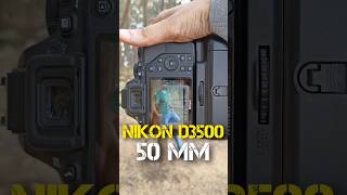 Nikon D3500 camera settings shorts [upl. by Winonah]