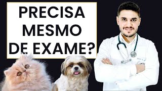 IMPORTÂNCIA DOS EXAMES COMPLEMENTARES [upl. by Sclater]