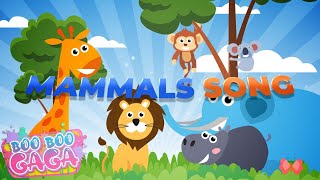 The Mammal Song for Kids by Boo Boo Gaga booboogaga [upl. by Ydualc]