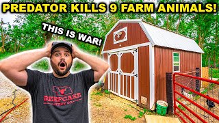 Predator ATTACKS My BACKYARD Farm and KILLS 9 Animals in 1 NIGHT THIS IS WAR [upl. by Matelda]