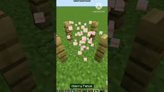 Minecraft Fence Meme 💀☠️ minecraft shorts short [upl. by Adivad52]