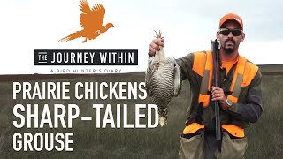 Prairie Chicken and Grouse The Journey Within  A Bird Hunters Diary  Mark V Peterson [upl. by Jordison]