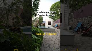 Casa MangoGuava  Un jardín enorme en una calle tranquila de Santa Ana [upl. by Borek577]