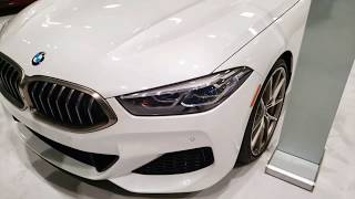 ALL NEW 2021 BMW M 850i COUPE COMPETITION [upl. by Purvis]