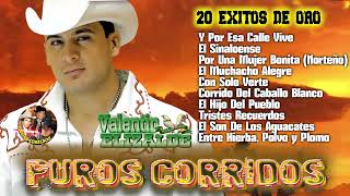 Valentin Elizalde  Puros Corridos Mix [upl. by Alexandrina]