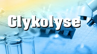 Glykolyse  Biochemie [upl. by Nylecoj]